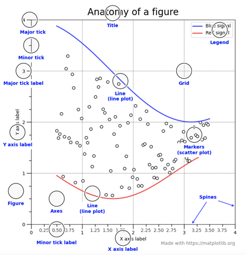 anatomy-figure