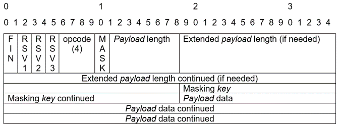 WebSocket Protocol Frame Bits Diagram